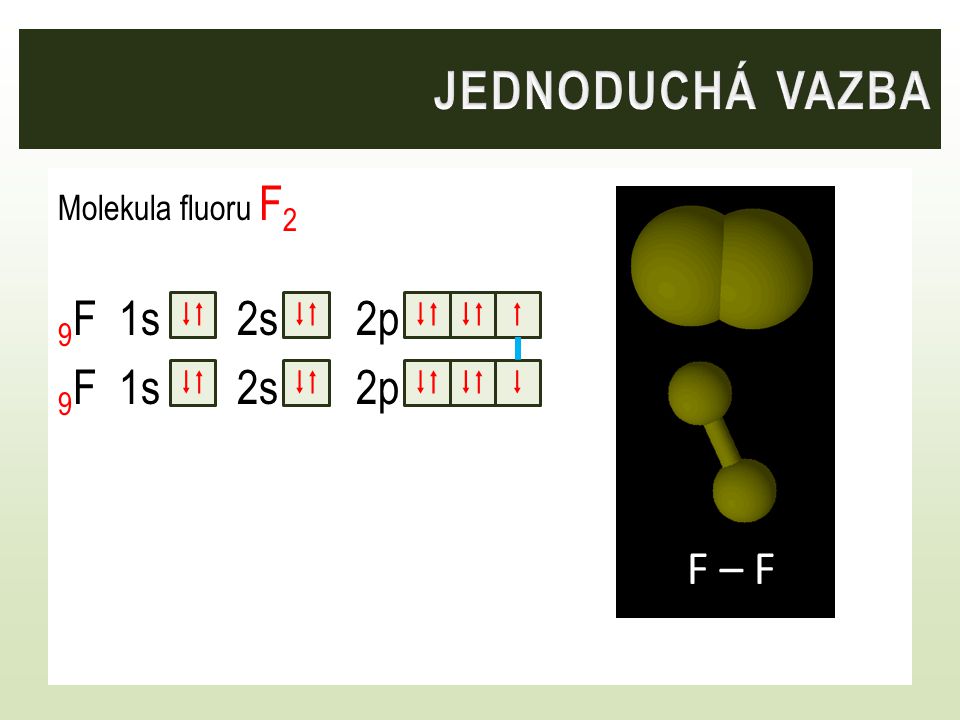 F – F Jednoduchá vazba 9F 1s 2s 2p F – F F Molekula fluoru F2   