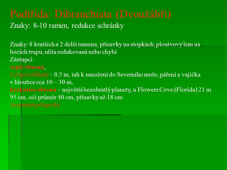 Podtřída: Dibranchiata (Dvoužábří)