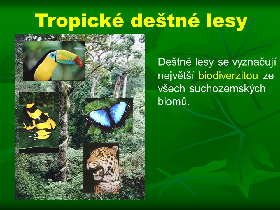 Tropické deštné lesy Deštné lesy se vyznačují největší biodiverzitou ze všech suchozemských biomů.