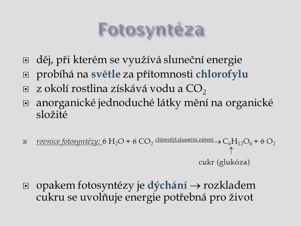 Fotosyntéza děj, při kterém se využívá sluneční energie