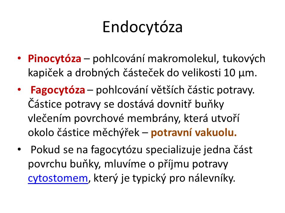 Endocytóza Pinocytóza – pohlcování makromolekul, tukových kapiček a drobných částeček do velikosti 10 μm.