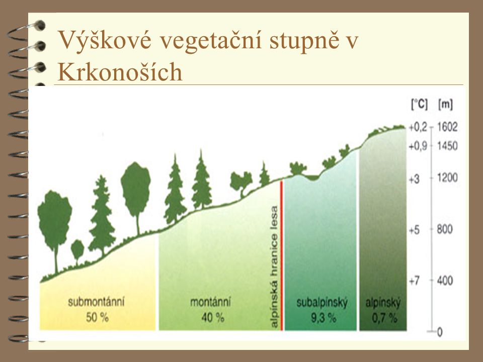 Výškové vegetační stupně v Krkonoších