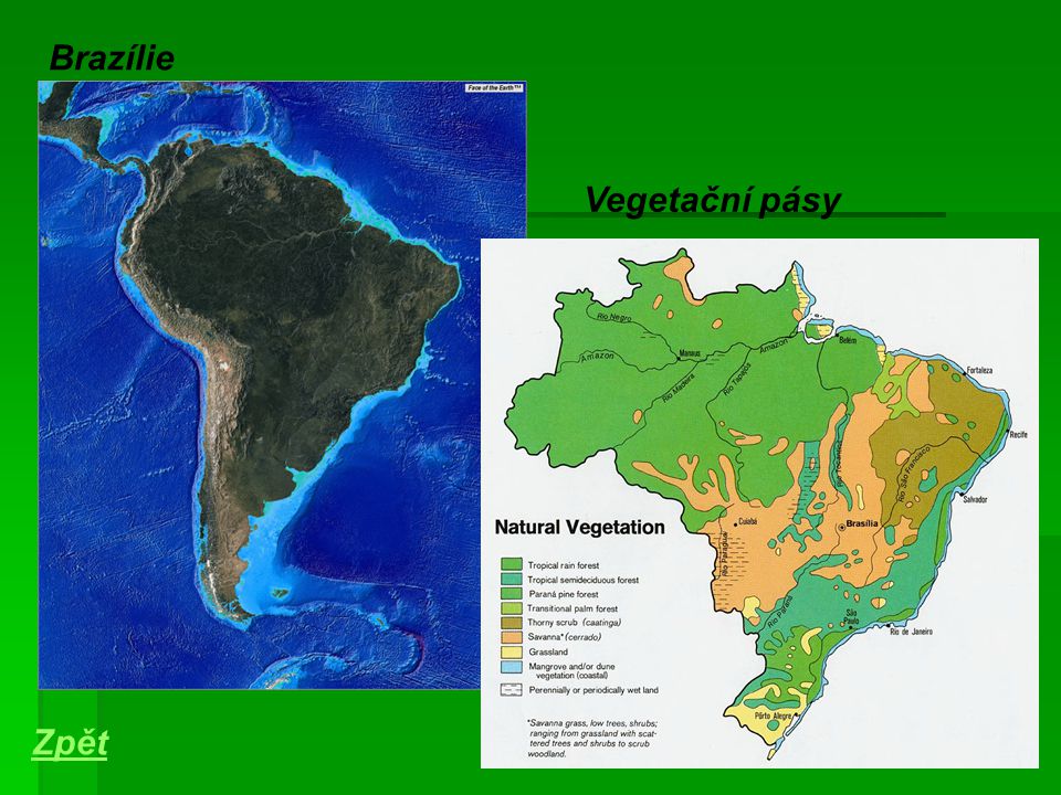 Brazílie Vegetační pásy Zpět