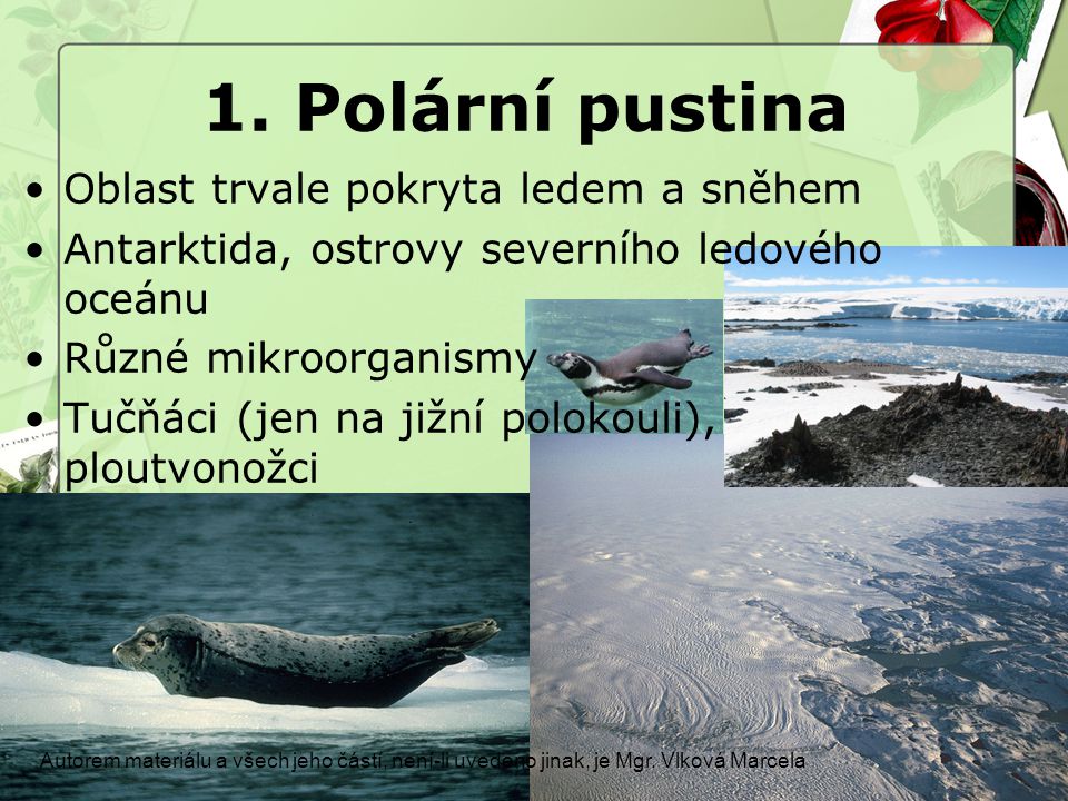 1. Polární pustina Oblast trvale pokryta ledem a sněhem