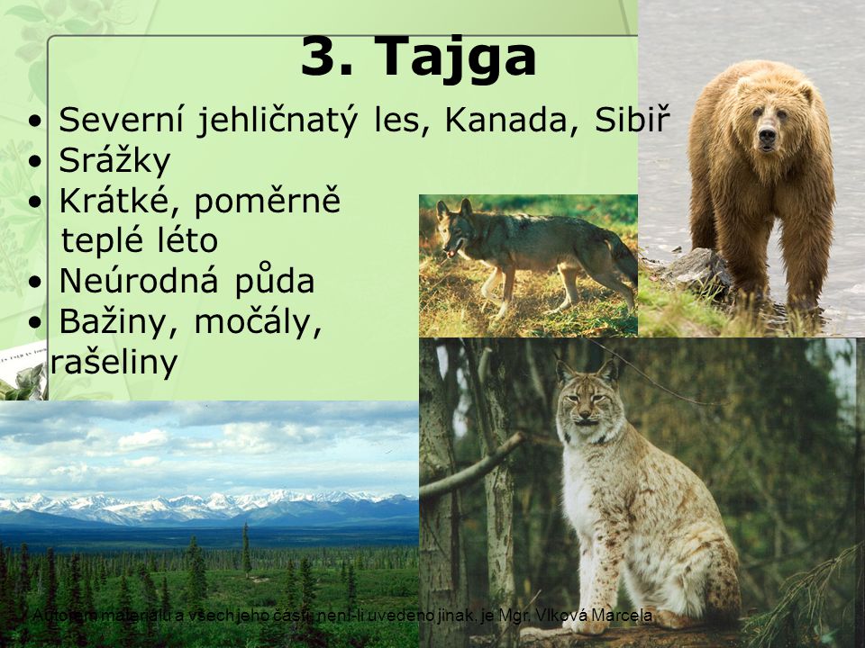3. Tajga Severní jehličnatý les, Kanada, Sibiř Srážky Krátké, poměrně