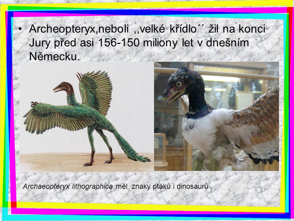 Archeopteryx,neboli ,,velké křídlo´´ žil na konci Jury před asi miliony let v dnešním Německu.