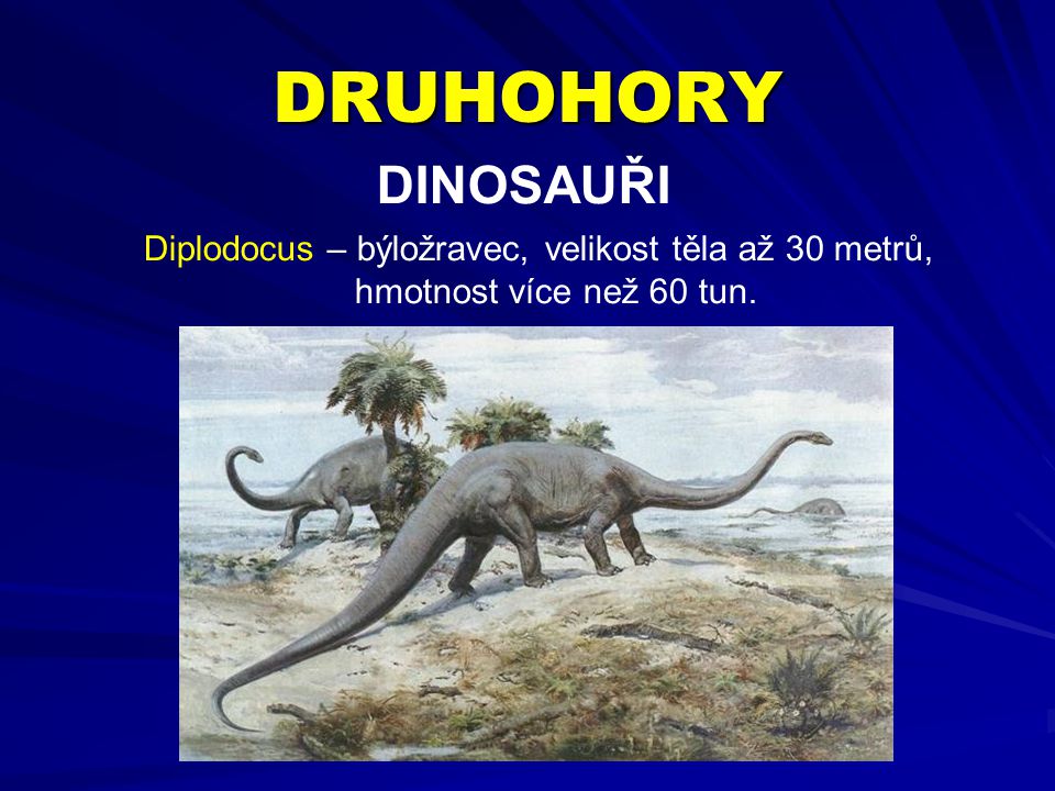 DRUHOHORY DINOSAUŘI Diplodocus – býložravec, velikost těla až 30 metrů, hmotnost více než 60 tun.
