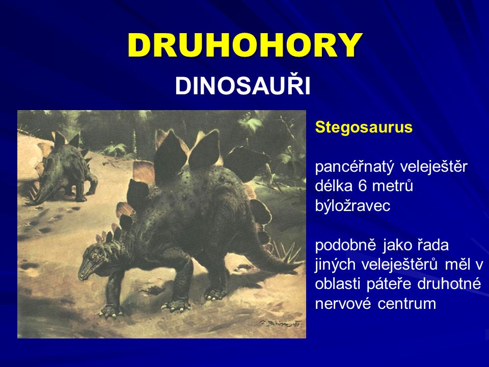 DRUHOHORY DINOSAUŘI Stegosaurus pancéřnatý veleještěr délka 6 metrů
