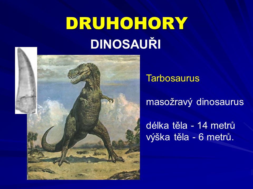 DRUHOHORY DINOSAUŘI Tarbosaurus masožravý dinosaurus