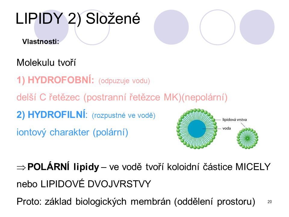 LIPIDY 2) Složené Molekulu tvoří 1) HYDROFOBNÍ: (odpuzuje vodu)