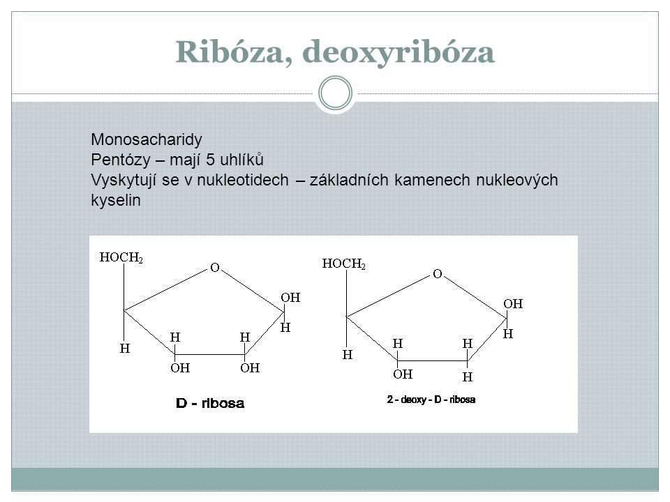 Ribóza, deoxyribóza Monosacharidy Pentózy – mají 5 uhlíků