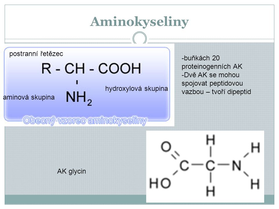Aminokyseliny postranní řetězec buňkách 20 proteinogenních AK