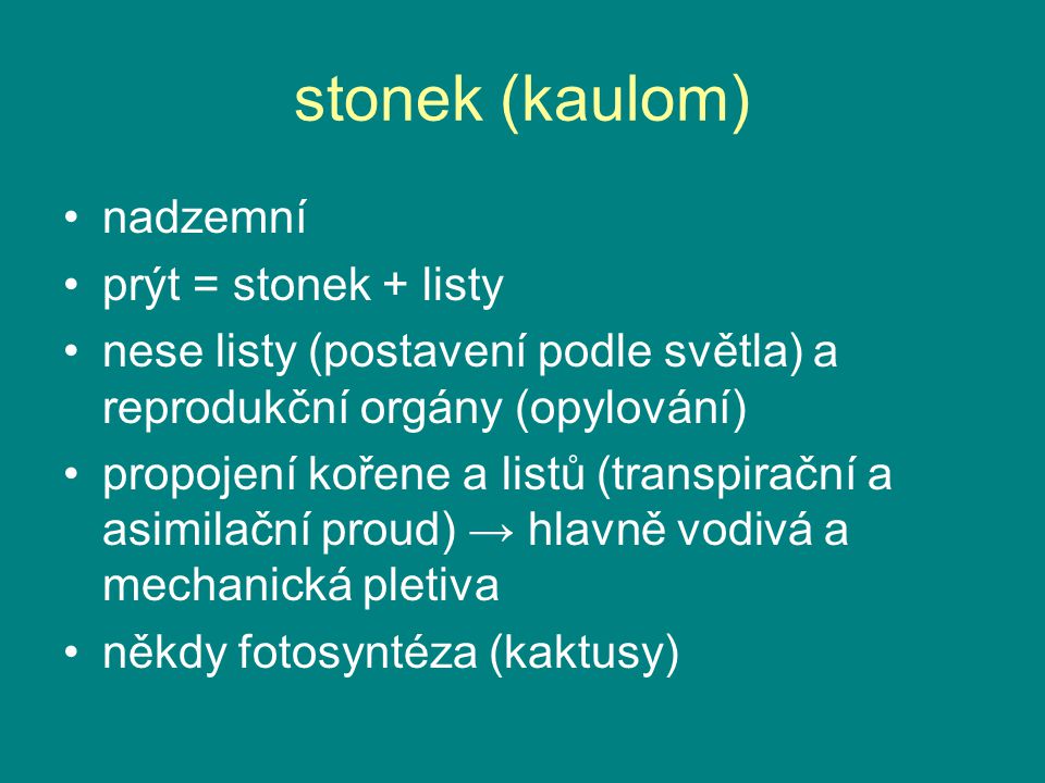 stonek (kaulom) nadzemní prýt = stonek + listy
