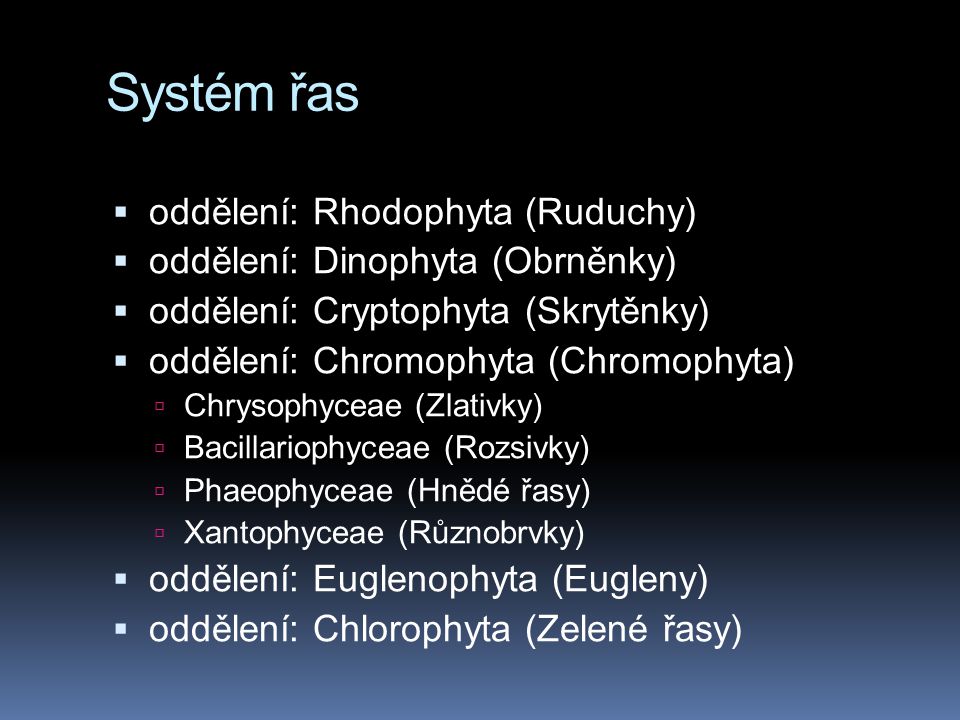 Systém řas oddělení: Rhodophyta (Ruduchy)