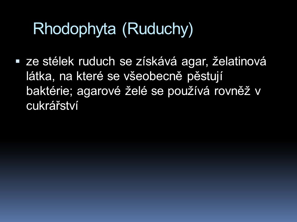 Rhodophyta (Ruduchy)