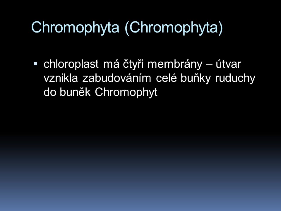 Chromophyta (Chromophyta)