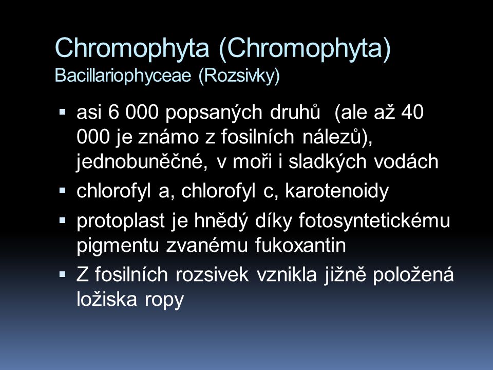 Chromophyta (Chromophyta) Bacillariophyceae (Rozsivky)
