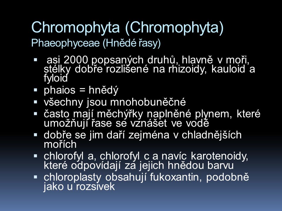 Chromophyta (Chromophyta) Phaeophyceae (Hnědé řasy)