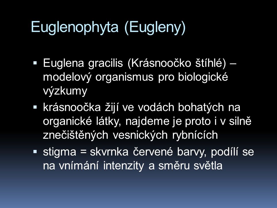 Euglenophyta (Eugleny)