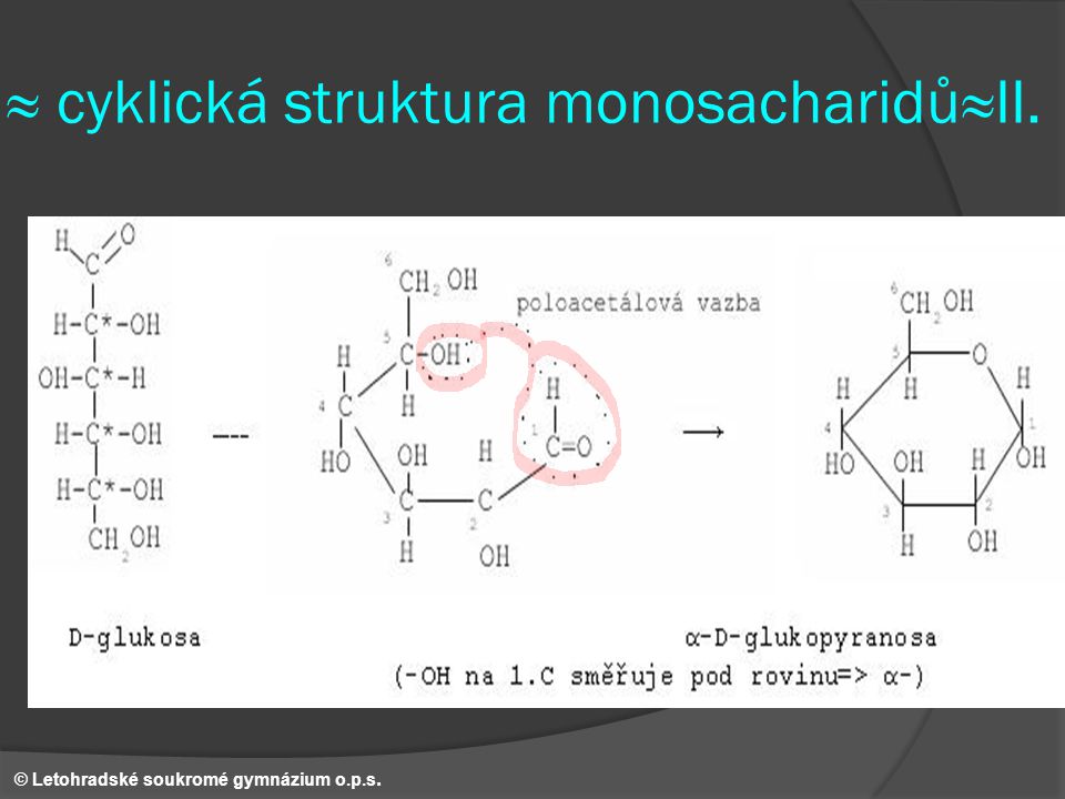 ≈ cyklická struktura monosacharidů≈II.