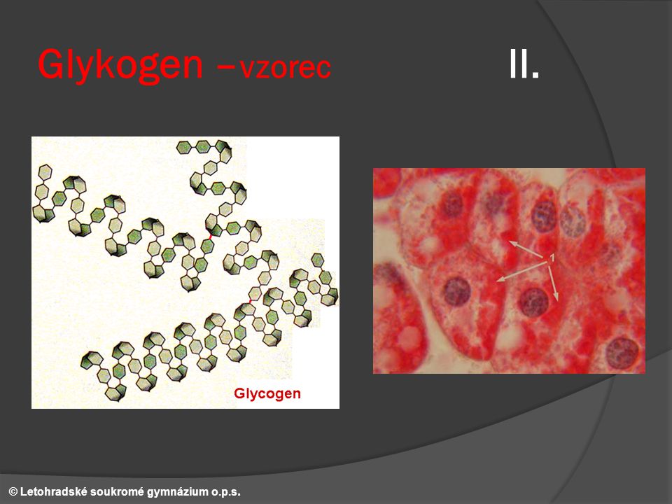 Glykogen –vzorec II. © Letohradské soukromé gymnázium o.p.s.