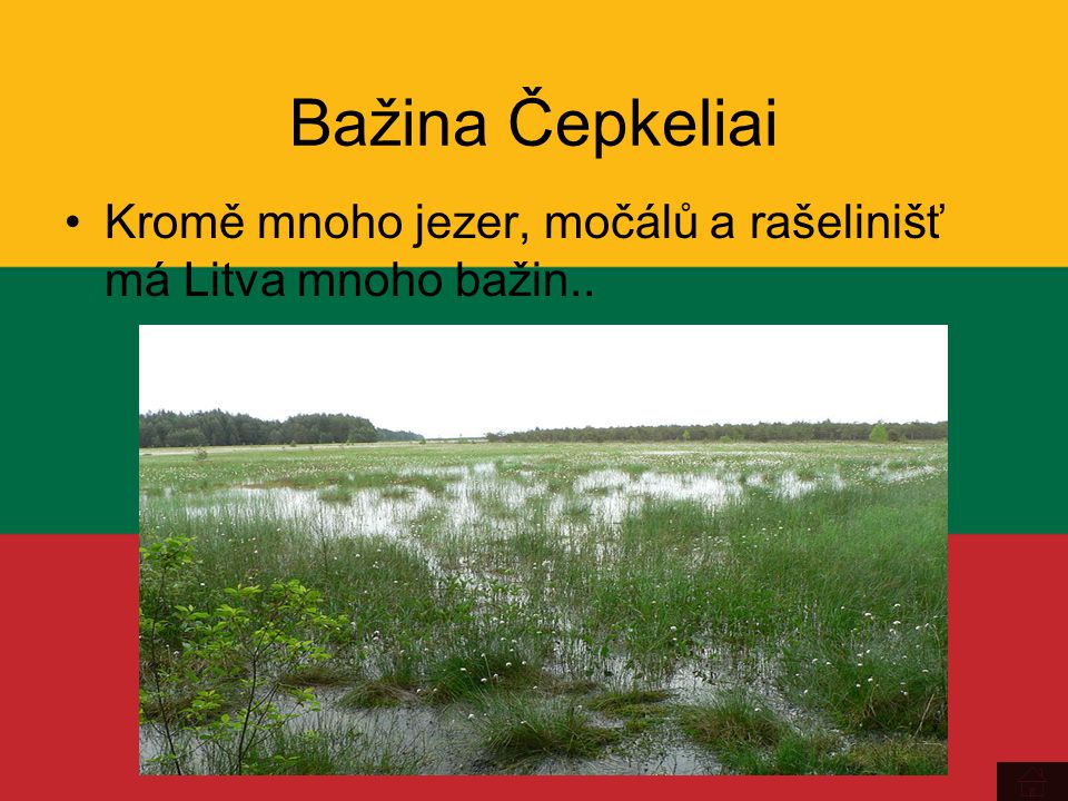 Bažina Čepkeliai Kromě mnoho jezer, močálů a rašelinišť má Litva mnoho bažin..