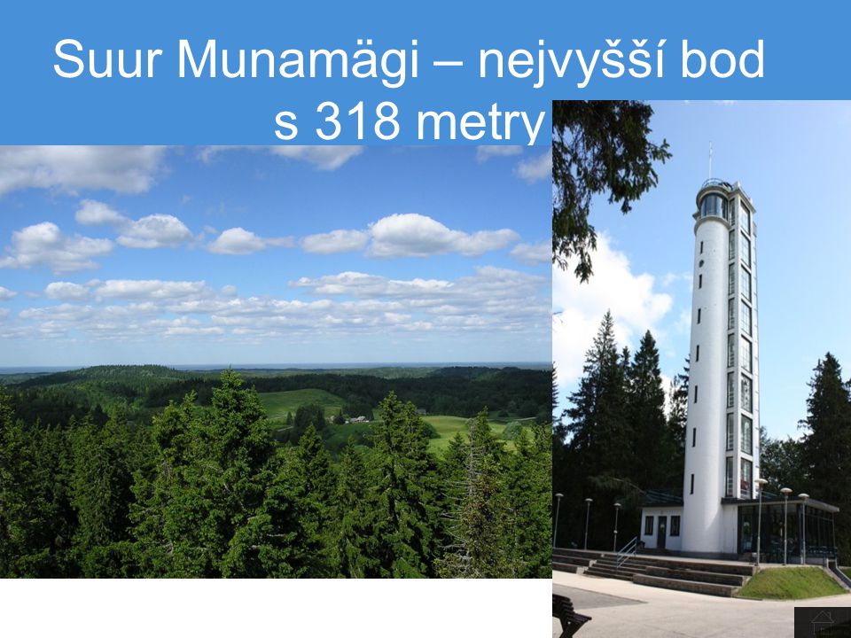 Suur Munamägi – nejvyšší bod s 318 metry