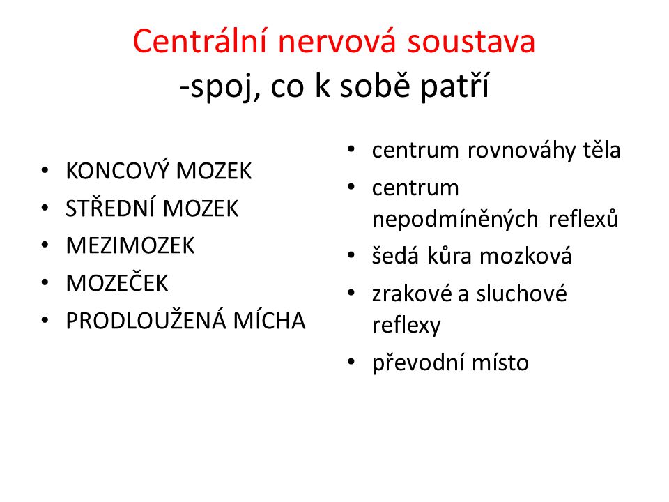 Centrální nervová soustava -spoj, co k sobě patří
