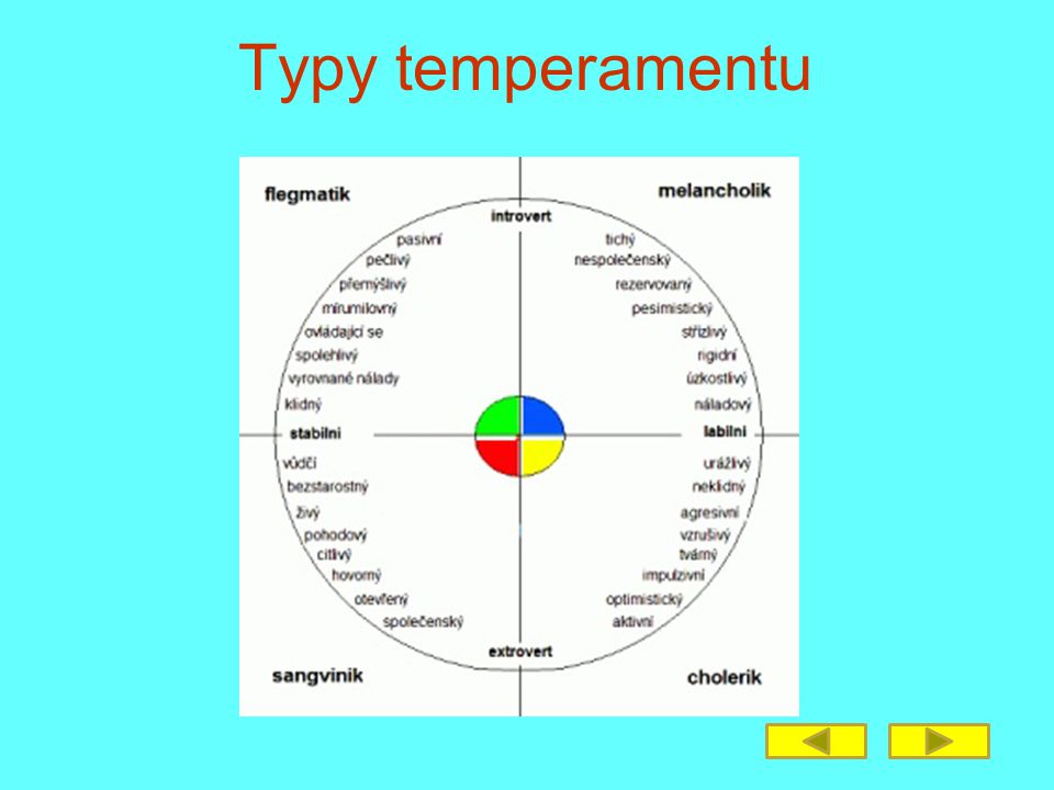 Typy temperamentu