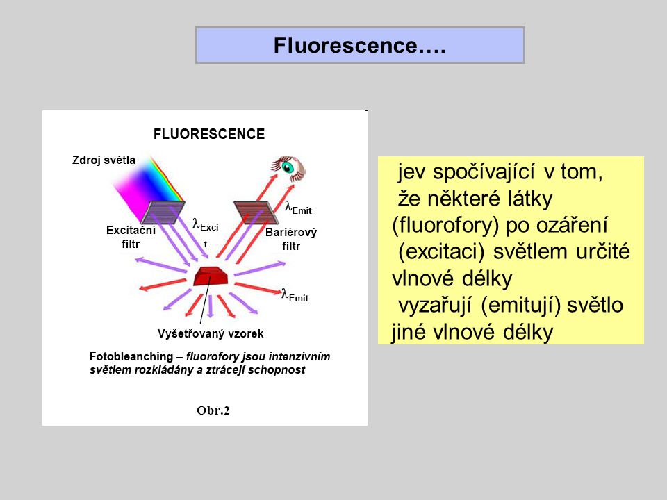 Fluorescence…. jev spočívající v tom, že některé látky (fluorofory) po ozáření. (excitaci) světlem určité vlnové délky.