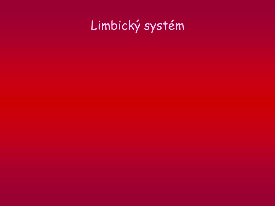 Limbický systém