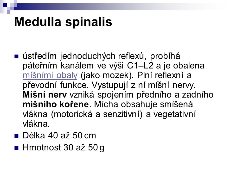 Medulla spinalis
