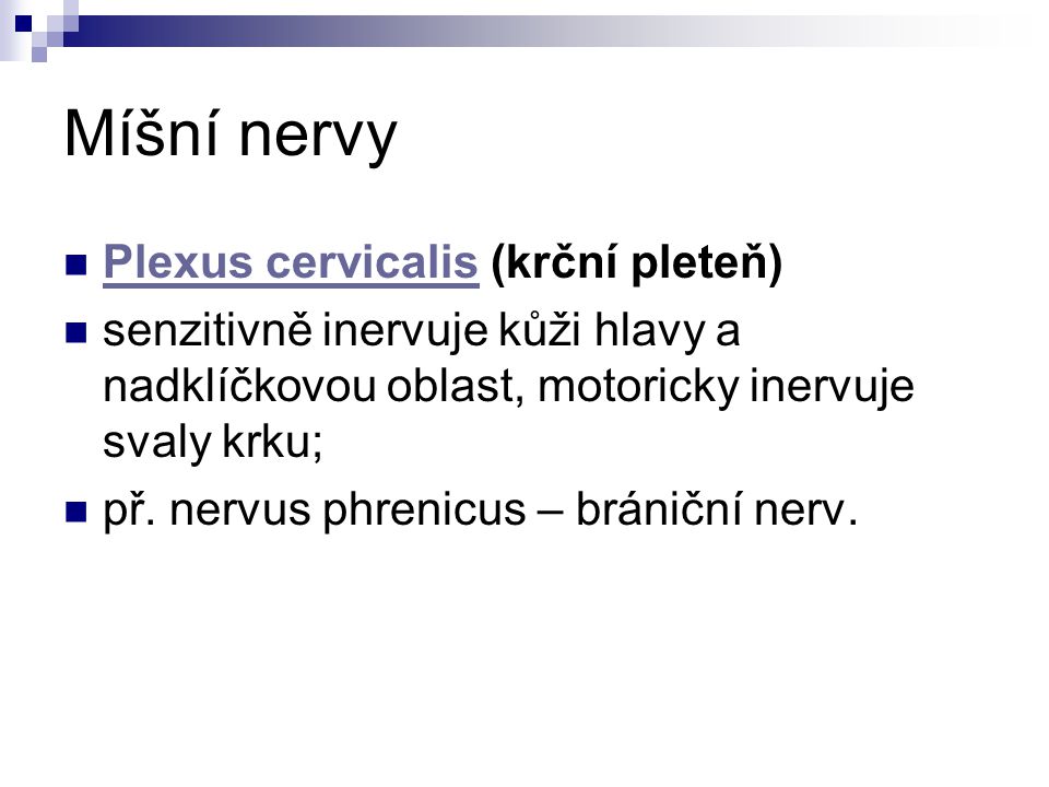 Míšní nervy Plexus cervicalis (krční pleteň)
