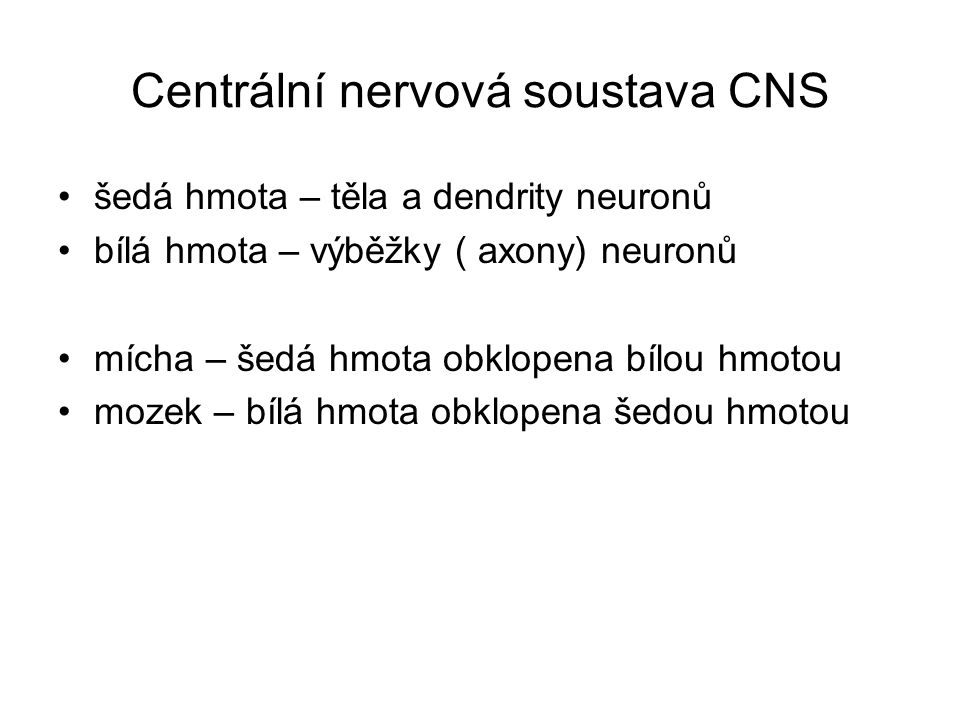 Centrální nervová soustava CNS