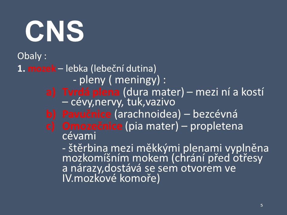 CNS Obaly : 1. mozek – lebka (lebeční dutina) - pleny ( meningy) : Tvrdá plena (dura mater) – mezi ní a kostí – cévy,nervy, tuk,vazivo.