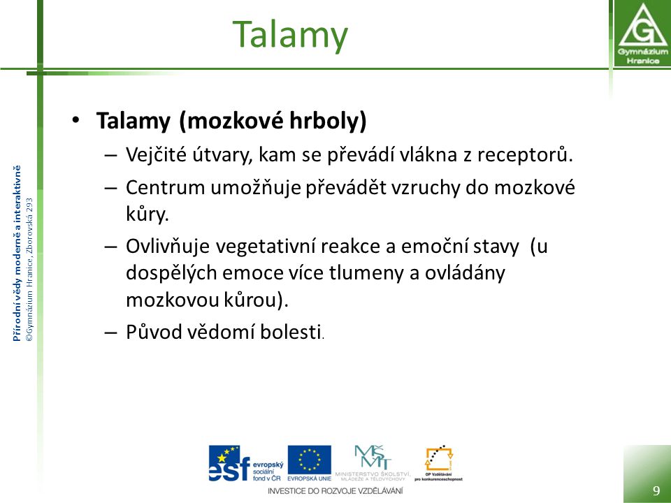 Talamy Talamy (mozkové hrboly)