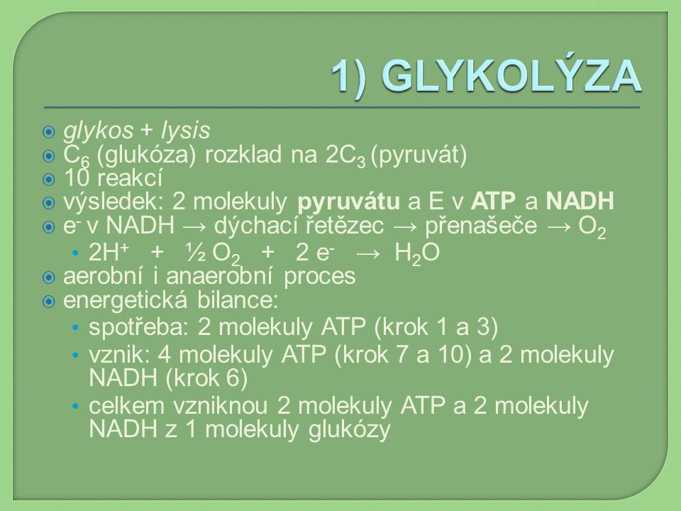 1) GLYKOLÝZA glykos + lysis C6 (glukóza) rozklad na 2C3 (pyruvát)