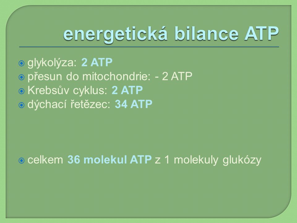 energetická bilance ATP