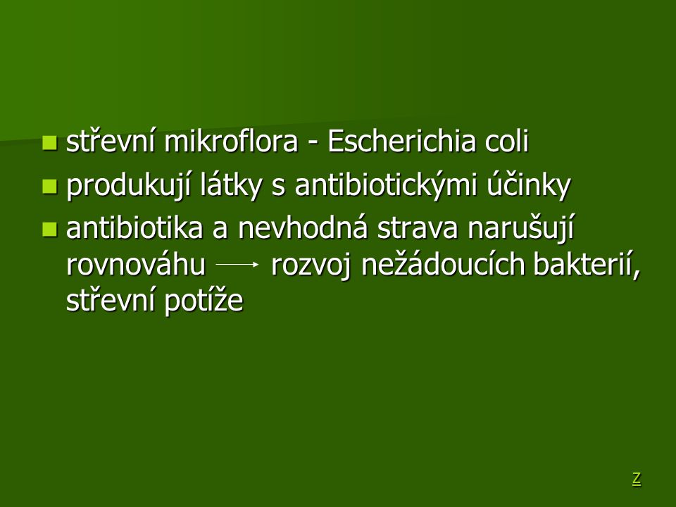 střevní mikroflora - Escherichia coli