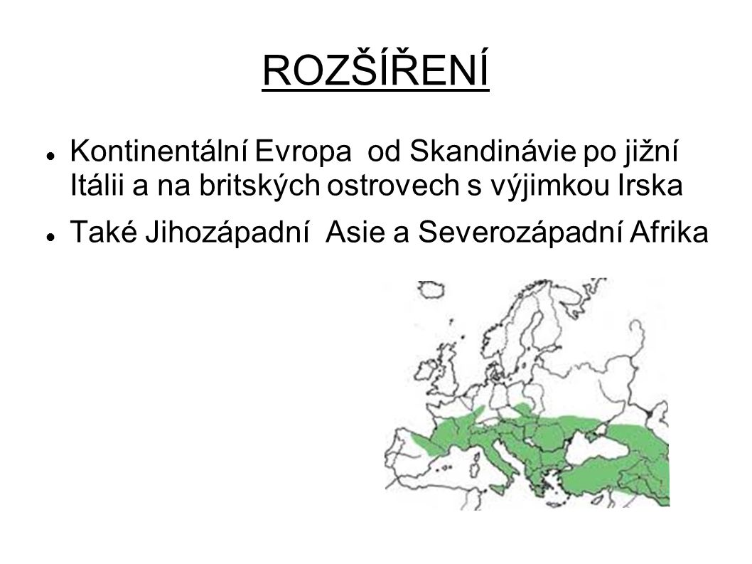 ROZŠÍŘENÍ Kontinentální Evropa od Skandinávie po jižní Itálii a na britských ostrovech s výjimkou Irska.