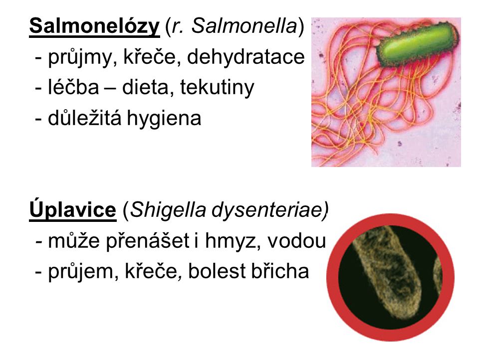 Salmonelózy (r. Salmonella)