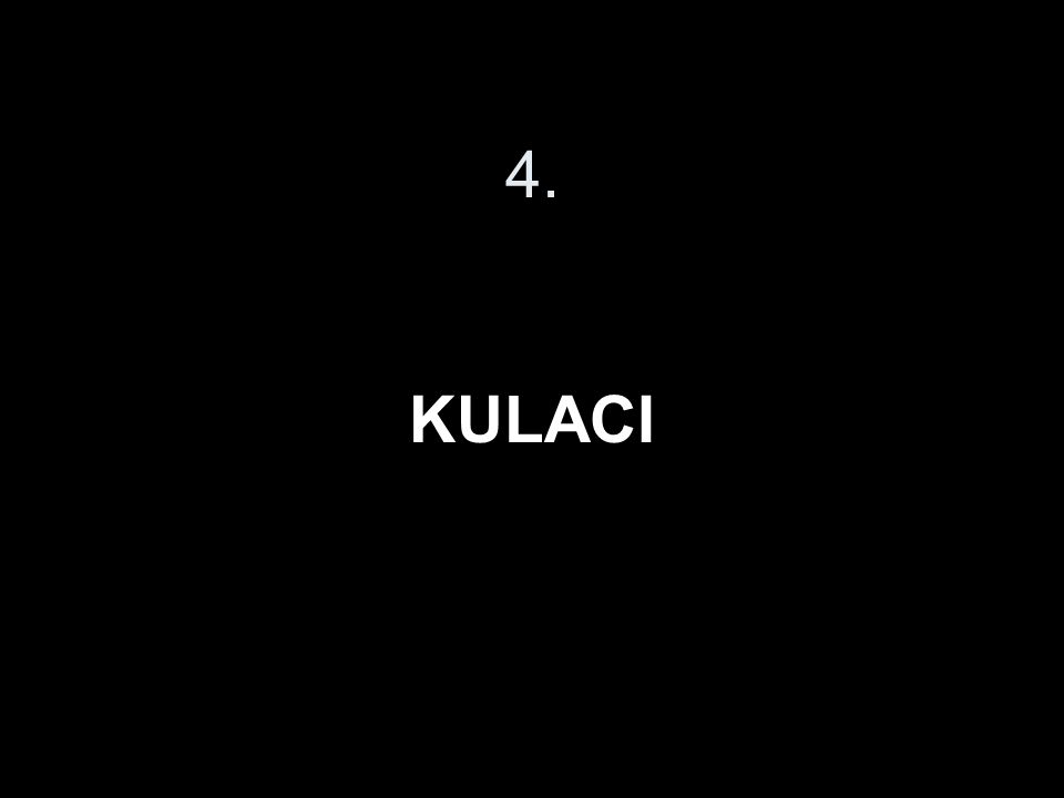 4. KULACI