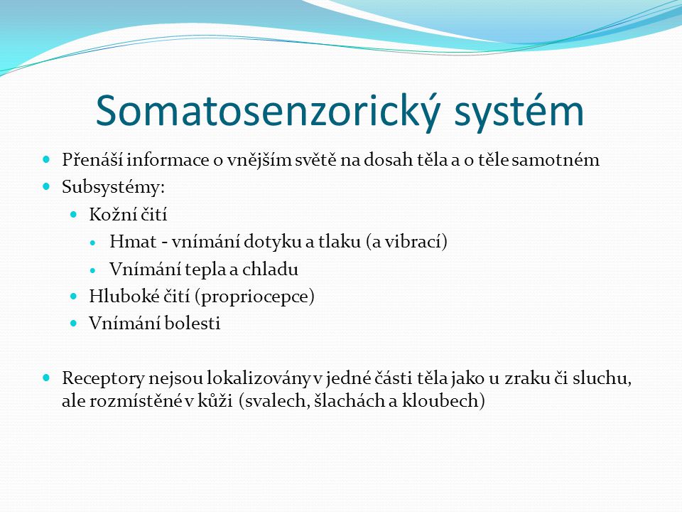 Somatosenzorický systém