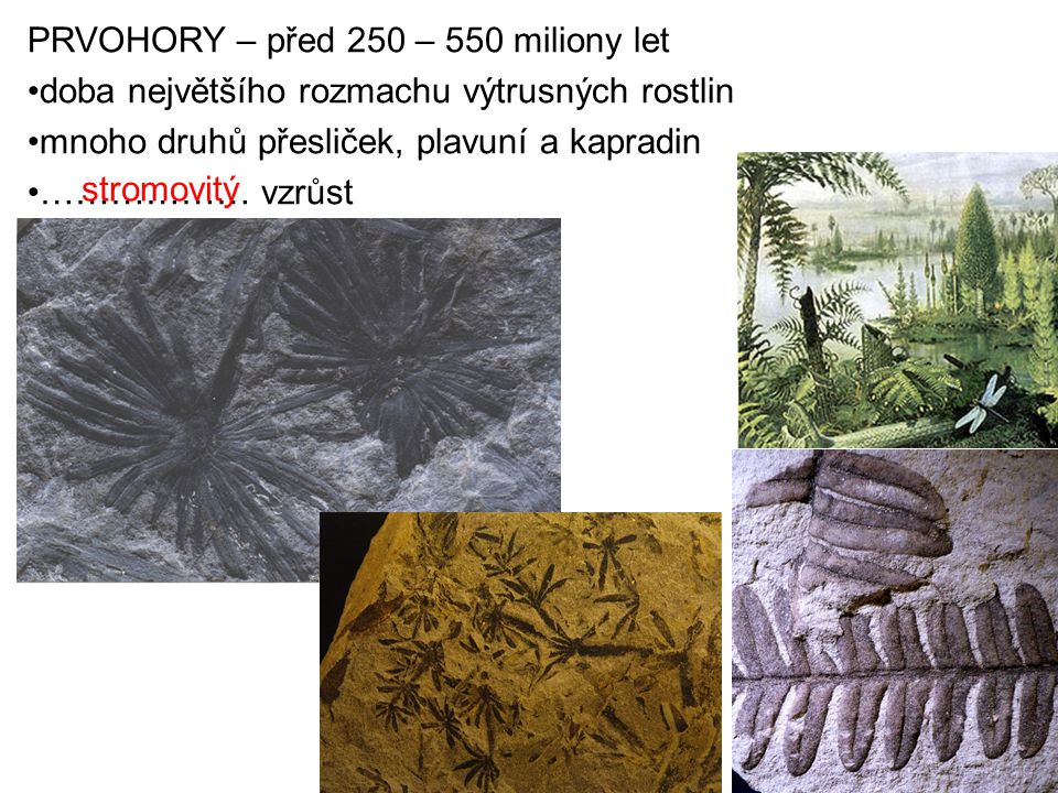 PRVOHORY – před 250 – 550 miliony let