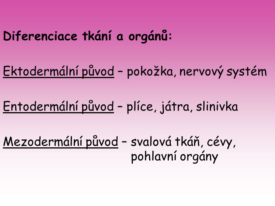 Diferenciace tkání a orgánů: