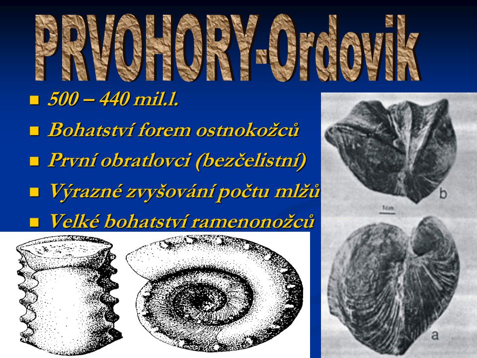 PRVOHORY-Ordovik 500 – 440 mil.l. Bohatství forem ostnokožců