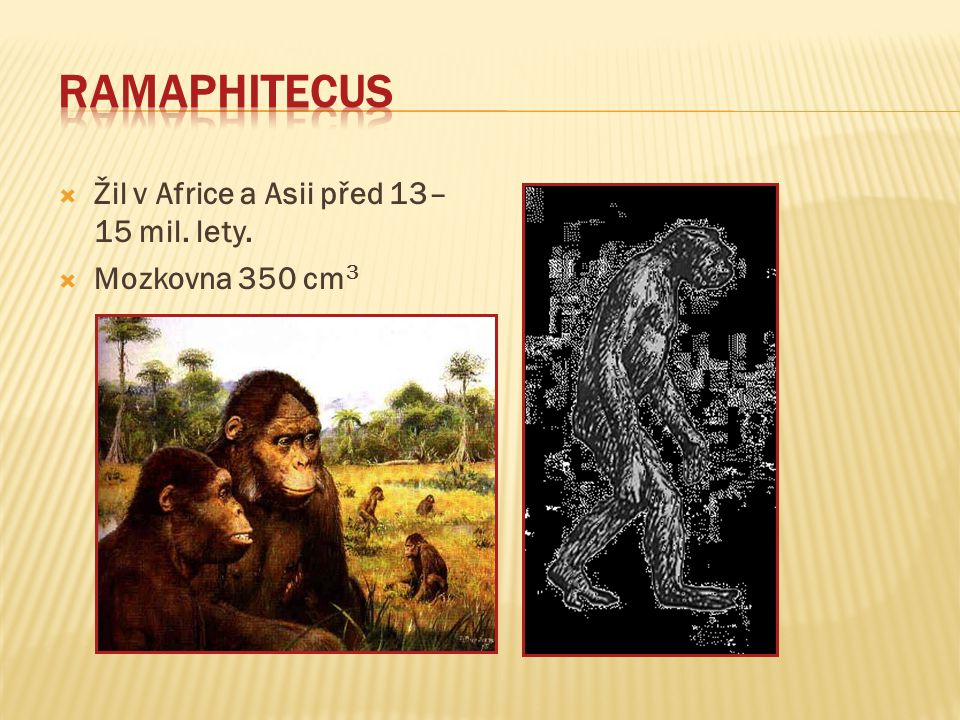 Ramaphitecus Žil v Africe a Asii před 13–15 mil. lety.