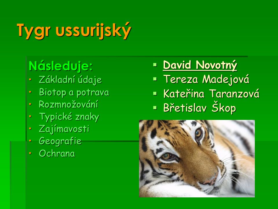 Tygr ussurijský Následuje: David Novotný Tereza Madejová