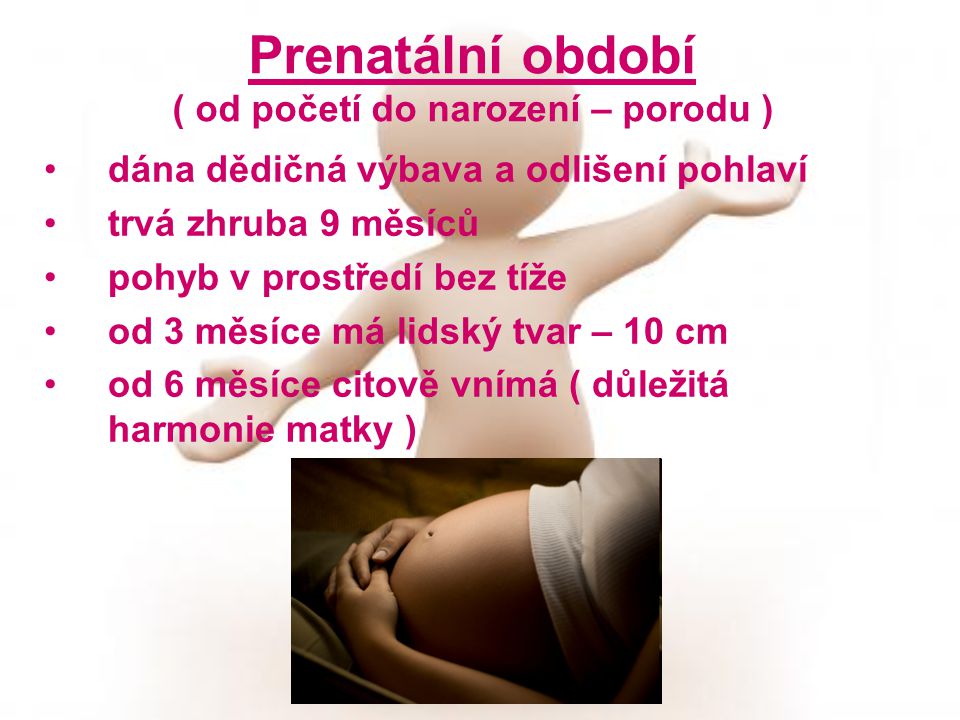 Prenatální období ( od početí do narození – porodu )
