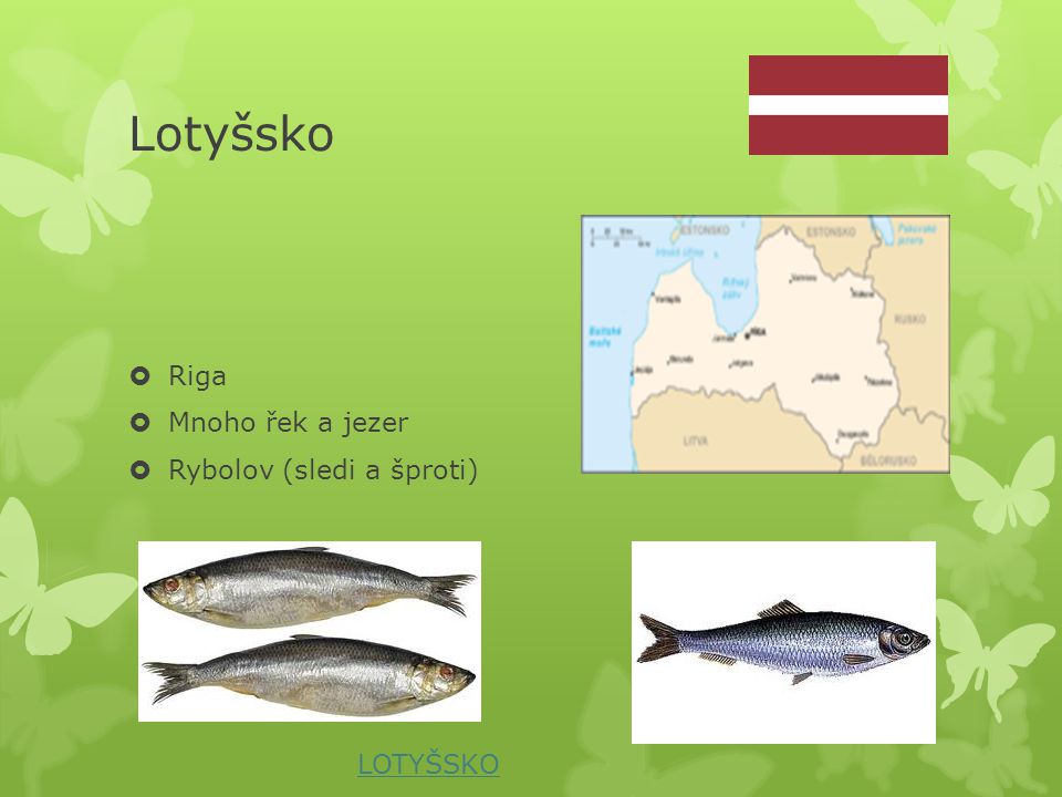 Lotyšsko Riga Mnoho řek a jezer Rybolov (sledi a šproti) LOTYŠSKO